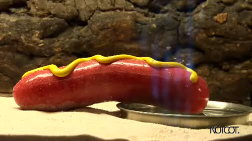 bansky-hot-dog