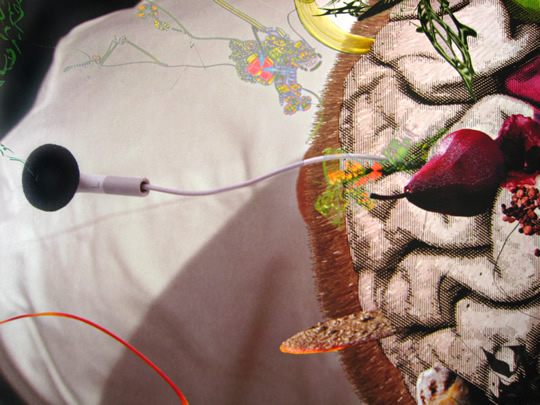 blumenthal-brain-4-540