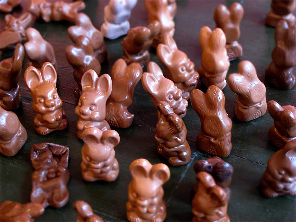 chocolate easter bunny pics. chocolate Easter bunny