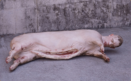 hyo-seok-pigman
