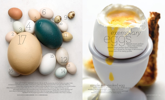 msl-eggs