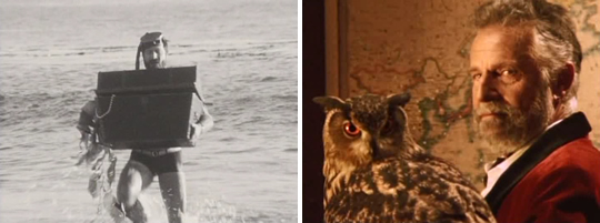 tmimintw-beach-owl