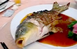 gasping-fish-f-s